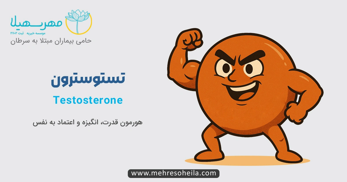 هورمون تستوسترون