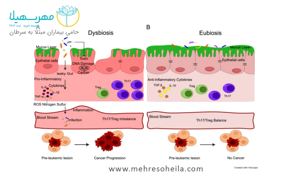 ششمین مقاله پژوهشی مهر سهیلا ششمین مقاله پژوهشی مهر سهیلا