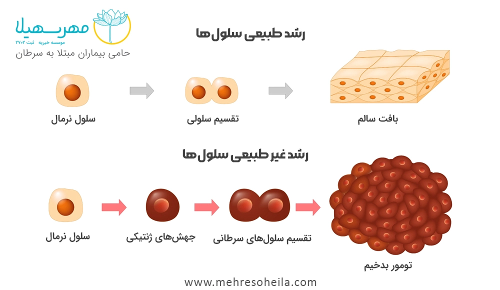 What Is Cancer Img گسترش سلول های سرطان