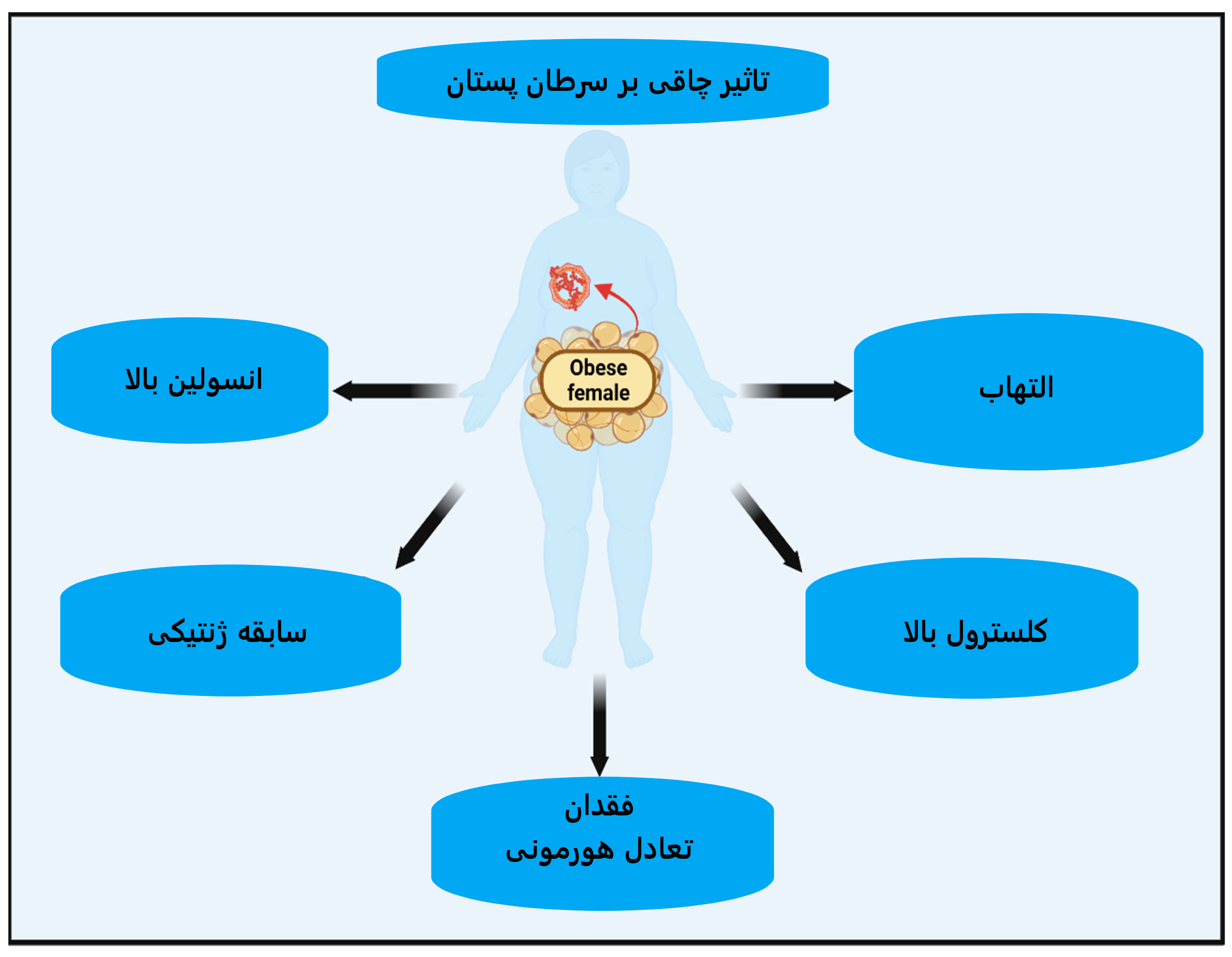 چاقی چاقی