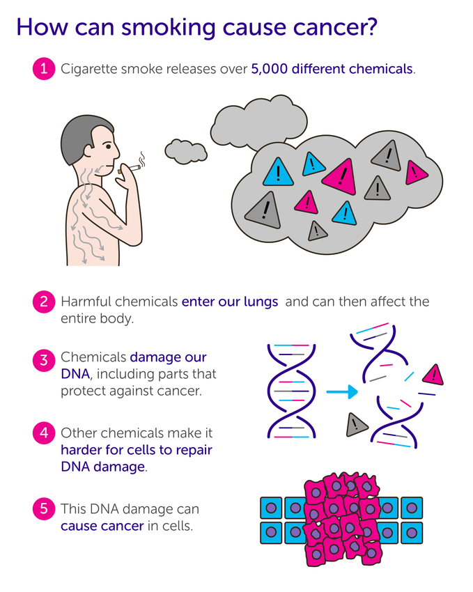 how smoking causes cancer v