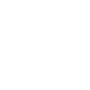 dot bn