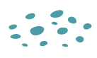 bnr new dot