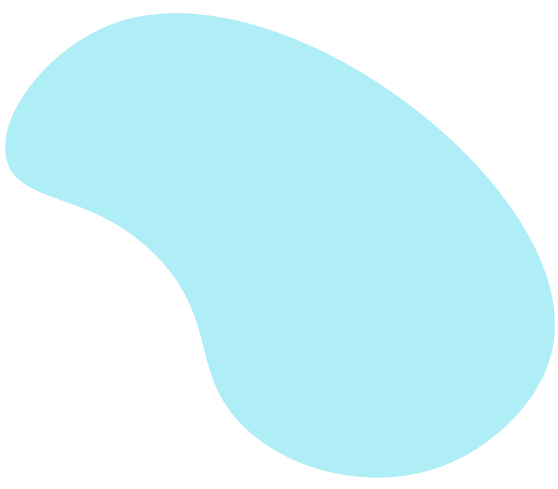 bnr patern