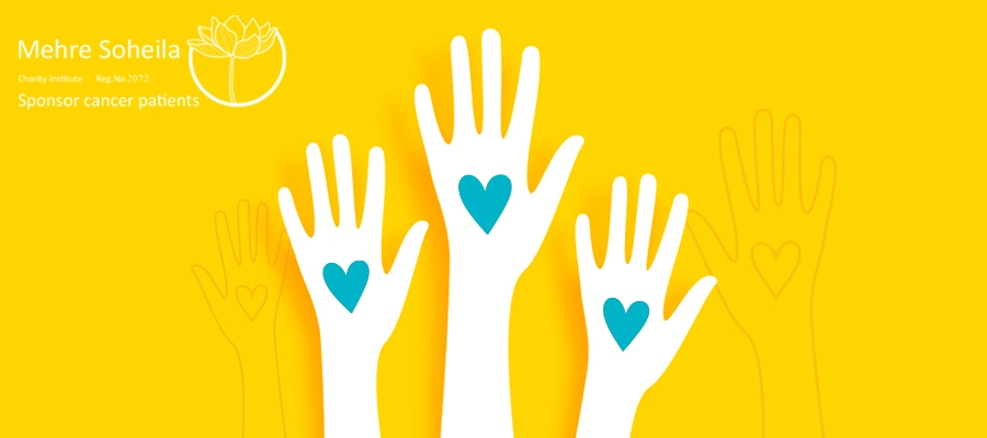 Davtalab MS EN Charity volunteer